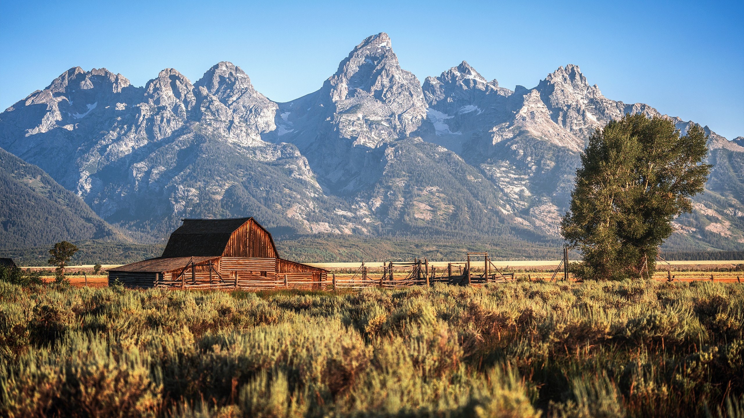 ราคาฟาร์มปศุสัตว์ในสหรัฐฯ พุ่ง 112% ใน 10 ปี จากกระแส Yellowstone